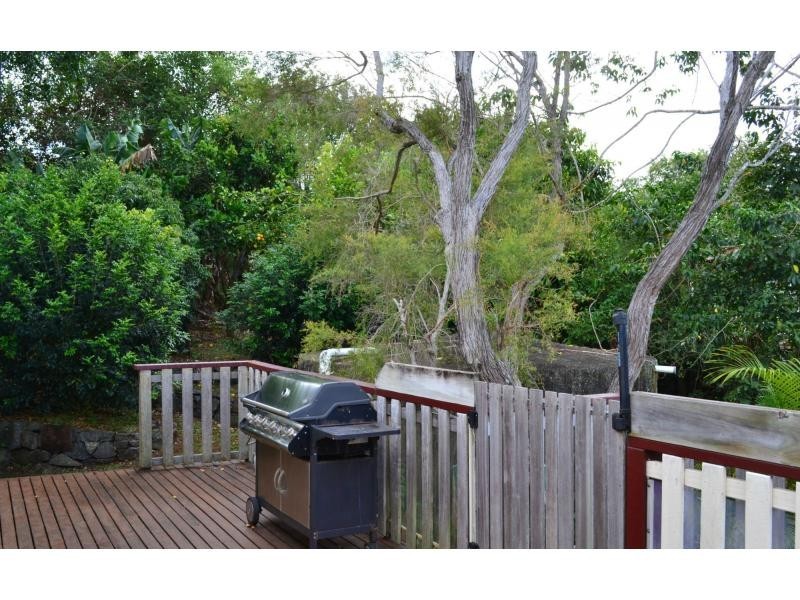 8 Coachwood Court, Federal NSW 2480