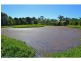 Bangalow NSW 2479