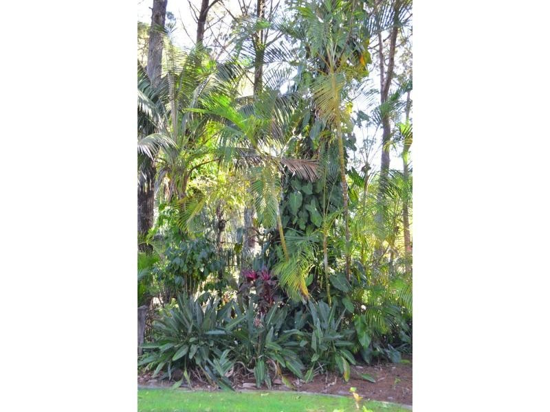 165 Broken Head Road, Suffolk Park NSW 2481