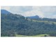 732 Koonorigan Road, The Channon NSW 2480
