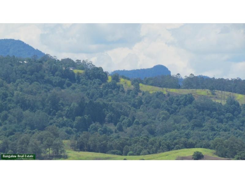 732 Koonorigan Road, The Channon NSW 2480
