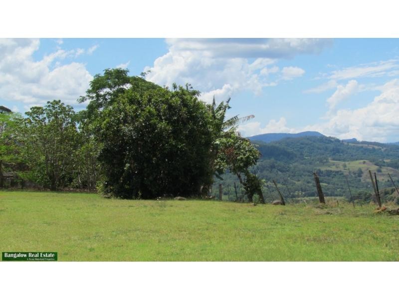 732 Koonorigan Road, The Channon NSW 2480