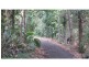 732 Koonorigan Road, The Channon NSW 2480