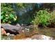 Bangalow NSW 2479