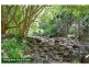 328 Upper Coopers Creek Road, Upper Coopers Creek NSW 2482