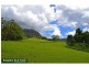 328 Upper Coopers Creek Road, Upper Coopers Creek NSW 2482