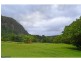 328 Upper Coopers Creek Road, Upper Coopers Creek NSW 2482
