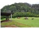 328 Upper Coopers Creek Road, Upper Coopers Creek NSW 2482