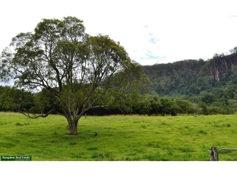 328 Upper Coopers Creek Road, Upper Coopers Creek NSW 2482