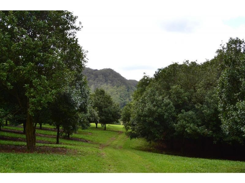 328 Upper Coopers Creek Road, Upper Coopers Creek NSW 2482