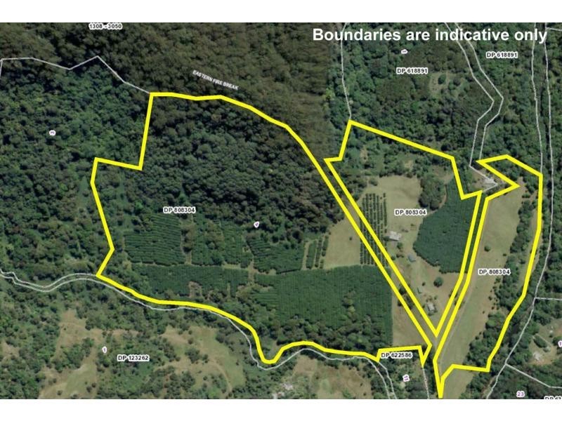 328 Upper Coopers Creek Road, Rosebank NSW 2480