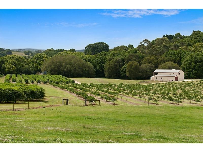 1 Pearces Creek Hall Road, Eltham NSW 2480