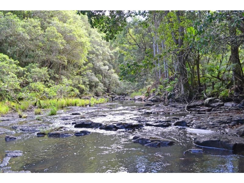 110 Tickles Road, Upper Coopers Creek NSW 2482