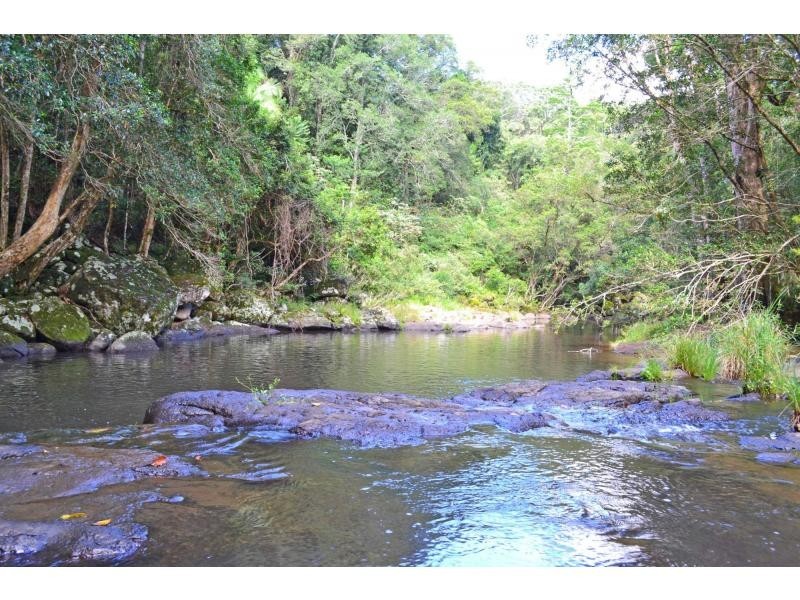 110 Tickles Road, Upper Coopers Creek NSW 2482