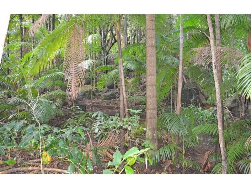 110 Tickles Road, Upper Coopers Creek NSW 2482