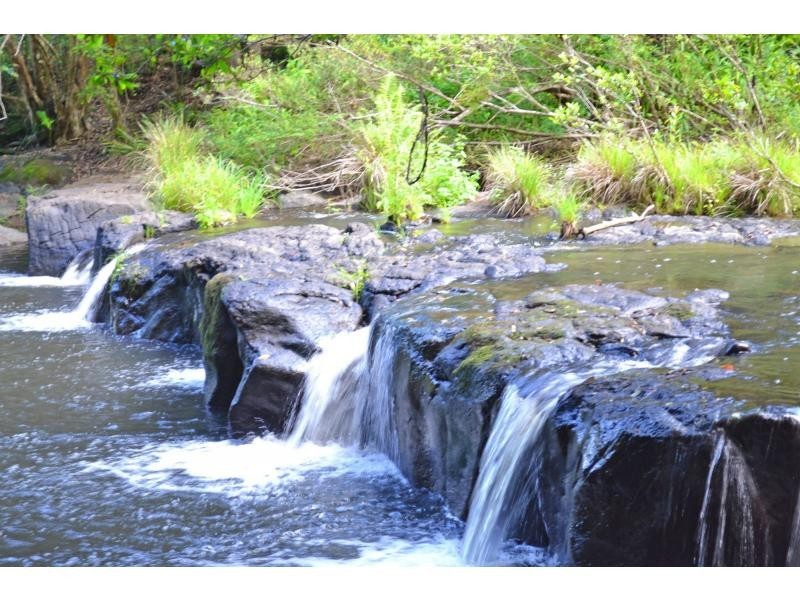 110 Tickles Road, Upper Coopers Creek NSW 2482