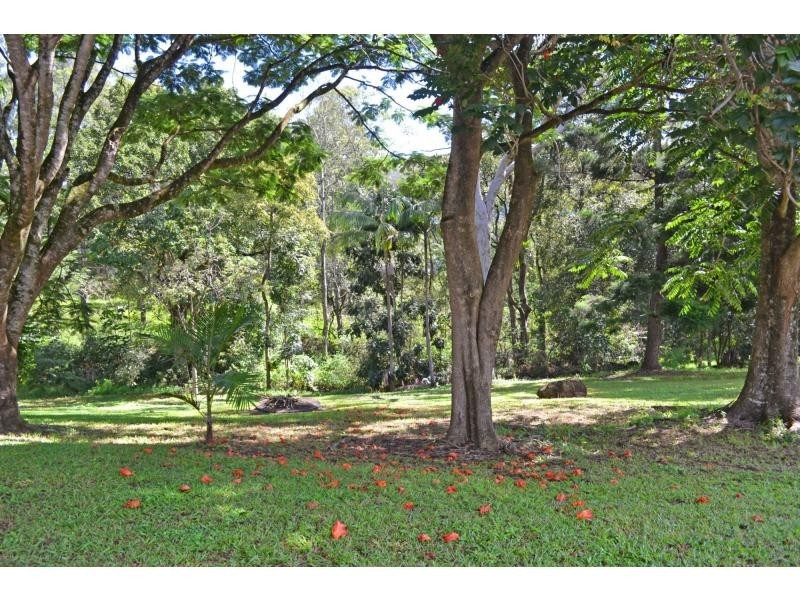 110 Tickles Road, Upper Coopers Creek NSW 2482