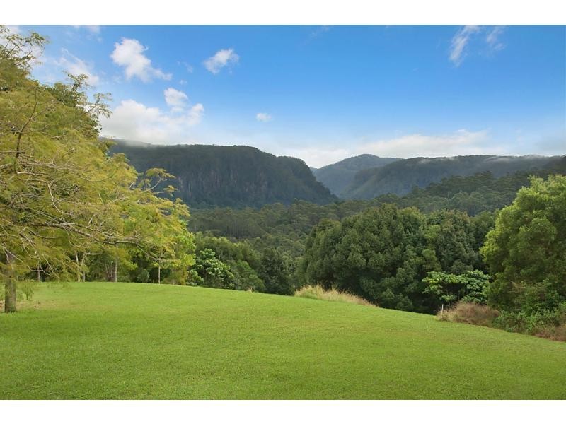 110 Tickles Road, Upper Coopers Creek NSW 2482