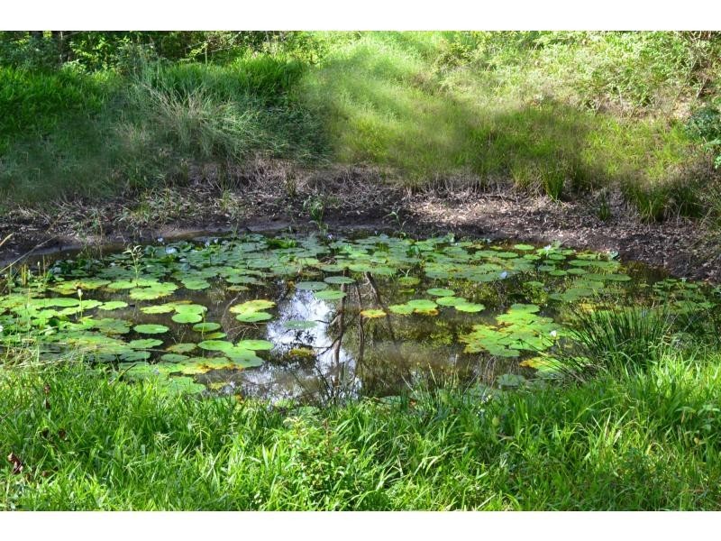 110 Tickles Road, Upper Coopers Creek NSW 2482