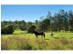 Clunes NSW 2480