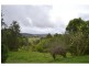 Clunes NSW 2480