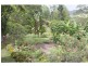 624 Tuntable Creek Road, Tuntable Creek NSW 2480