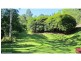 624 Tuntable Creek Road, Tuntable Creek NSW 2480