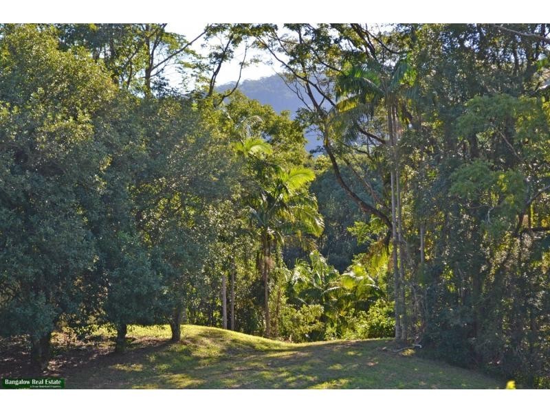 L1 Upper Coopers Creek Road, Upper Coopers Creek NSW 2482