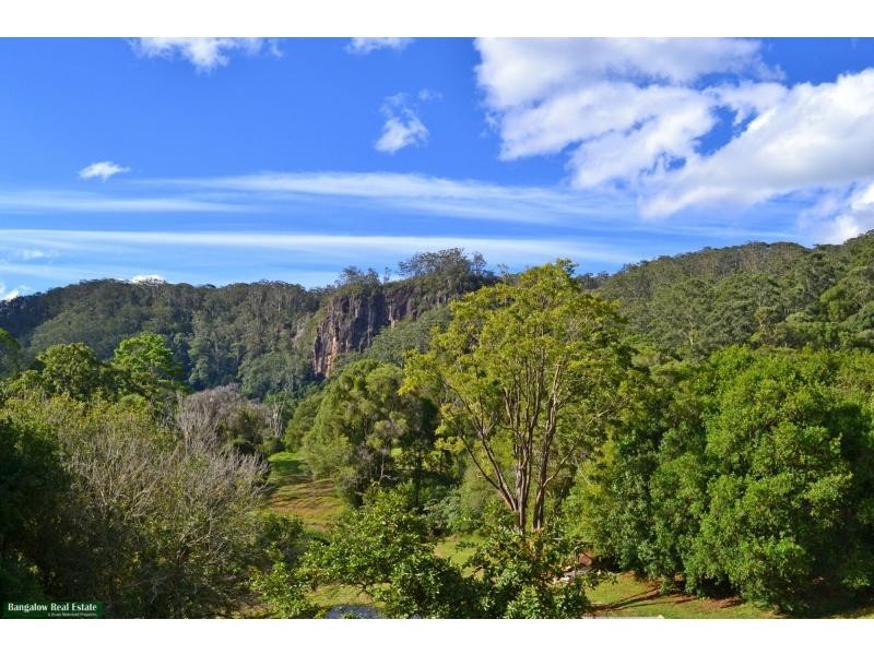L1 Upper Coopers Creek Road, Upper Coopers Creek NSW 2482
