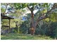 L1 Upper Coopers Creek Road, Upper Coopers Creek NSW 2482