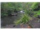 624 Tuntable Creek Road, The Channon NSW 2480