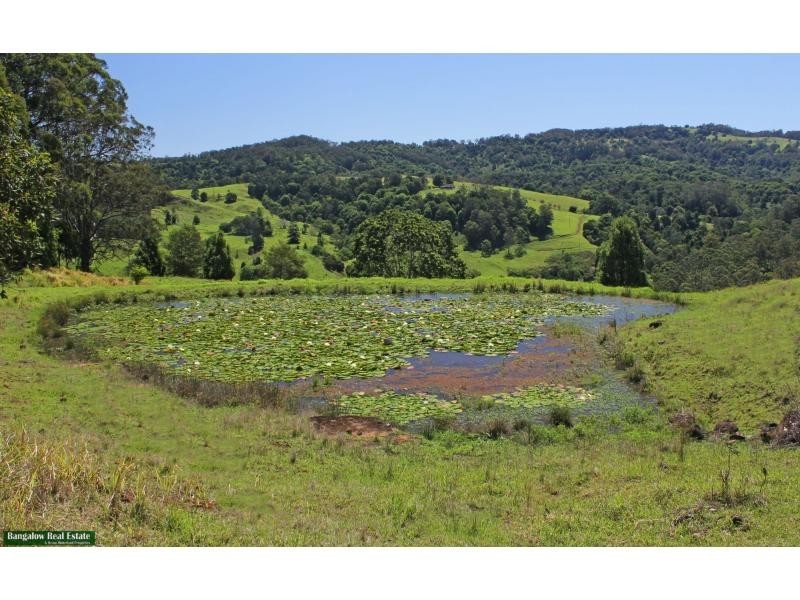624 Tuntable Creek Road, The Channon NSW 2480