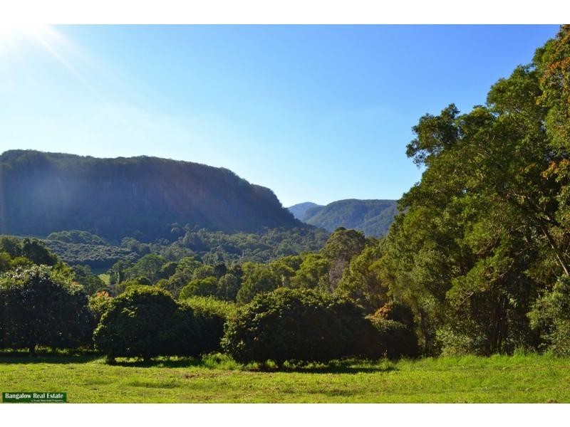 L1 Upper Coopers Creek Road, Rosebank NSW 2480