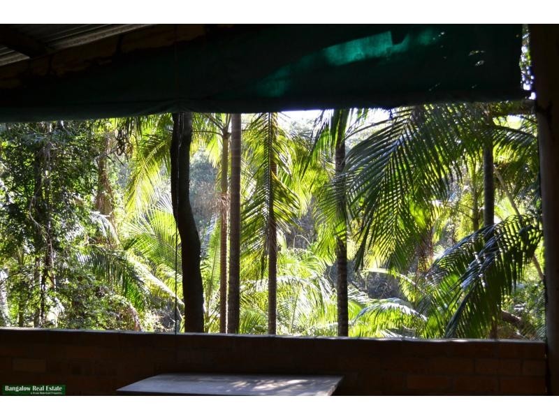 L1 Upper Coopers Creek Road, Rosebank NSW 2480