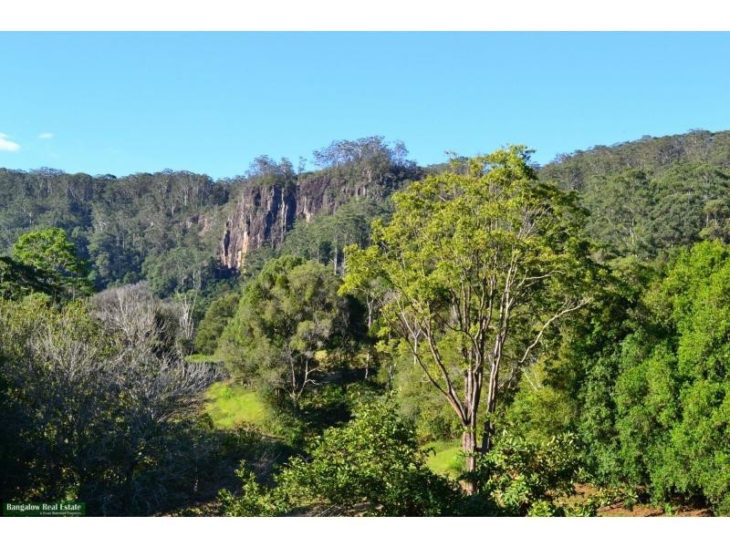 L1 Upper Coopers Creek Road, Rosebank NSW 2480