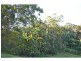 L1 Upper Coopers Creek Road, Rosebank NSW 2480