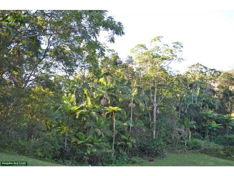L1 Upper Coopers Creek Road, Rosebank NSW 2480