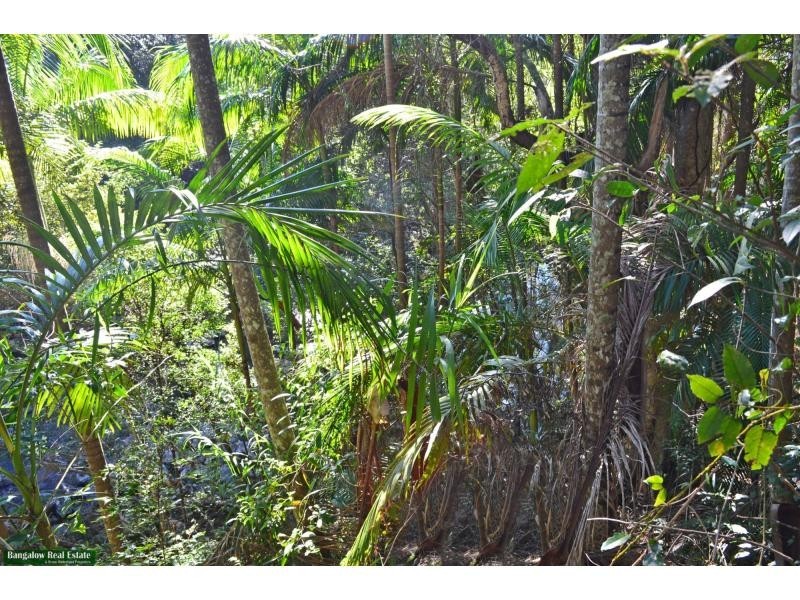 L1 Upper Coopers Creek Road, Rosebank NSW 2480
