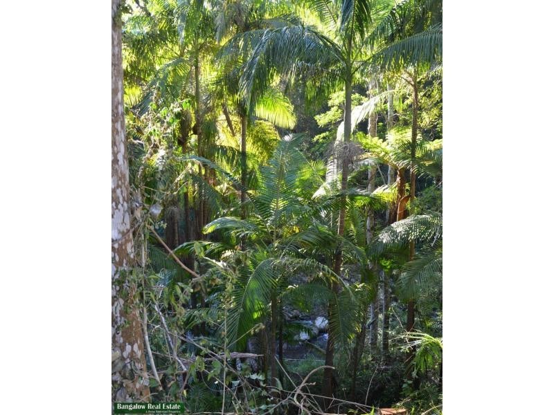 L1 Upper Coopers Creek Road, Rosebank NSW 2480