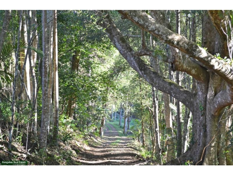 L1 Upper Coopers Creek Road, Rosebank NSW 2480