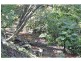 2744 Pacific Highway, Bangalow NSW 2479