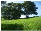 L8 176 Fowlers Lane, Bangalow NSW 2479