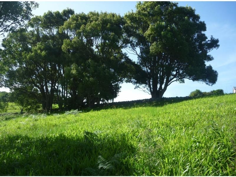 L8 176 Fowlers Lane, Bangalow NSW 2479