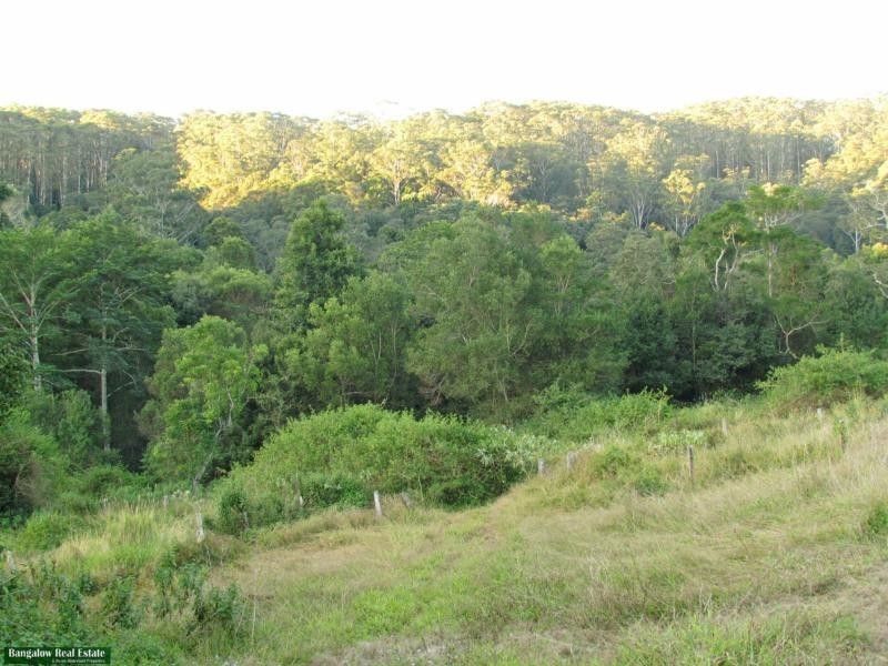 756 Whian Whian Road, Whian Whian NSW 2480