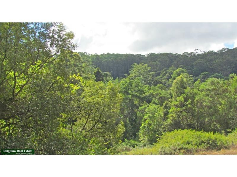 756 Whian Whian Road, Whian Whian NSW 2480