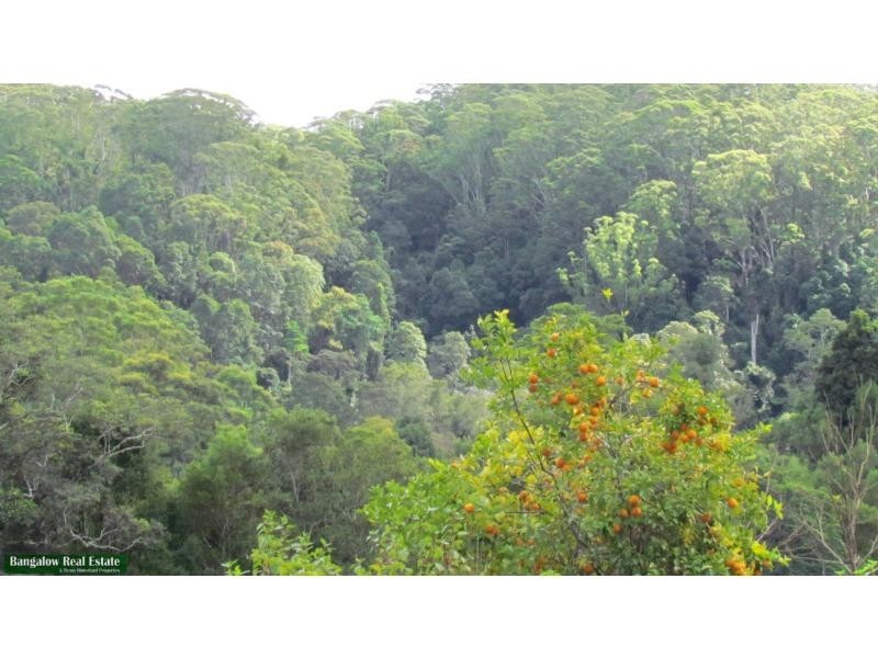 756 Whian Whian Road, Whian Whian NSW 2480