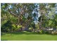 15 Palm Tree Crescent, Bangalow NSW 2479