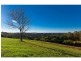 849 Fernleigh Road, Brooklet NSW 2479