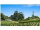 1050 Eltham Road, Pearces Creek NSW 2477
