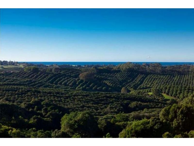 849 Fernleigh Road, Newrybar NSW 2479